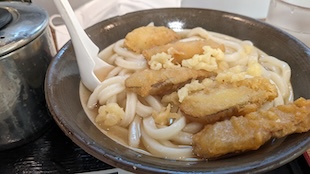 ごぼう天うどん